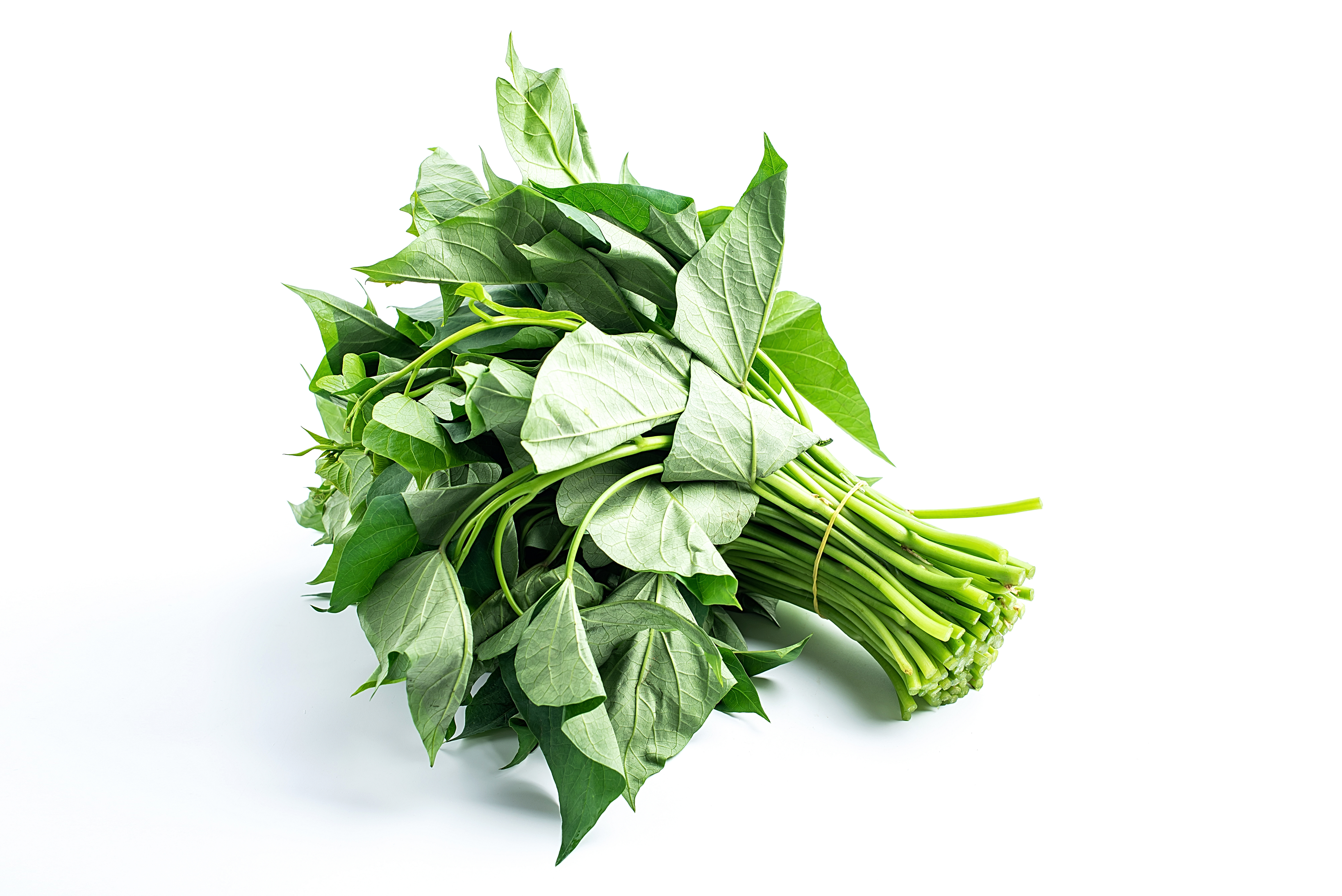  My First Encounter with Sierra Leone's Potato Leaves Stew: A Tale of Green Goo, Glorious Spice, and a Mild Identity Crisis 